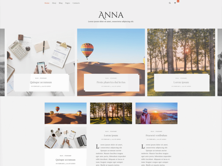 WordPress Bloging Theme – Anna lite